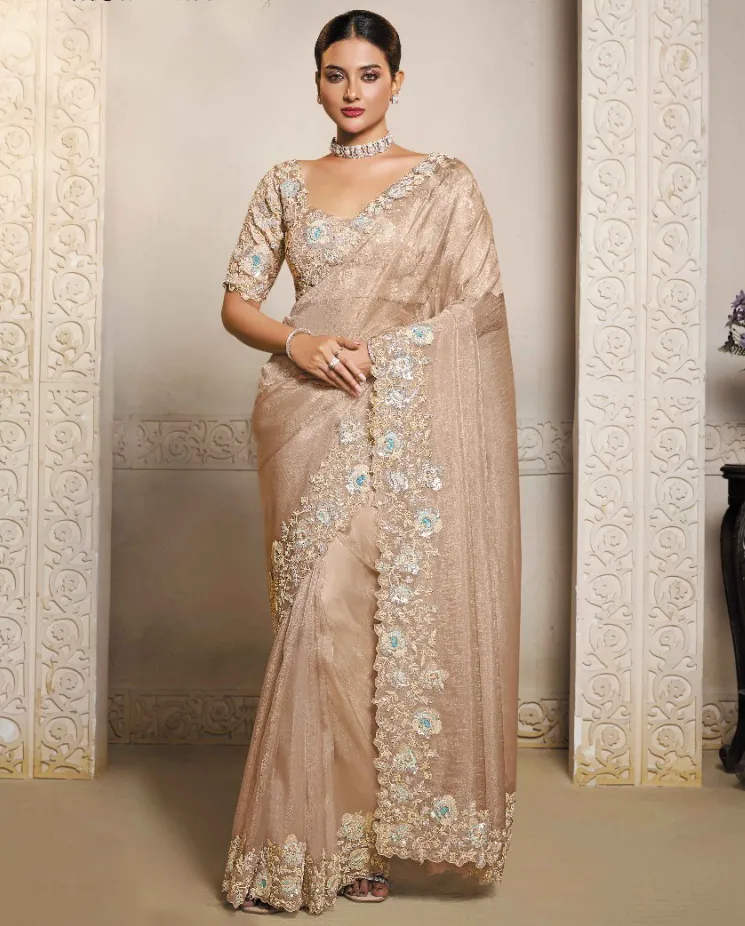 Beige Organza Crush Satin Multi Stone Work Designer Saree
