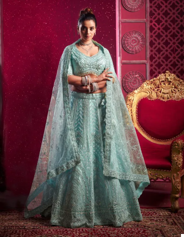Sky Blue Premium Net Codding Sequins Work Kali Lehenga