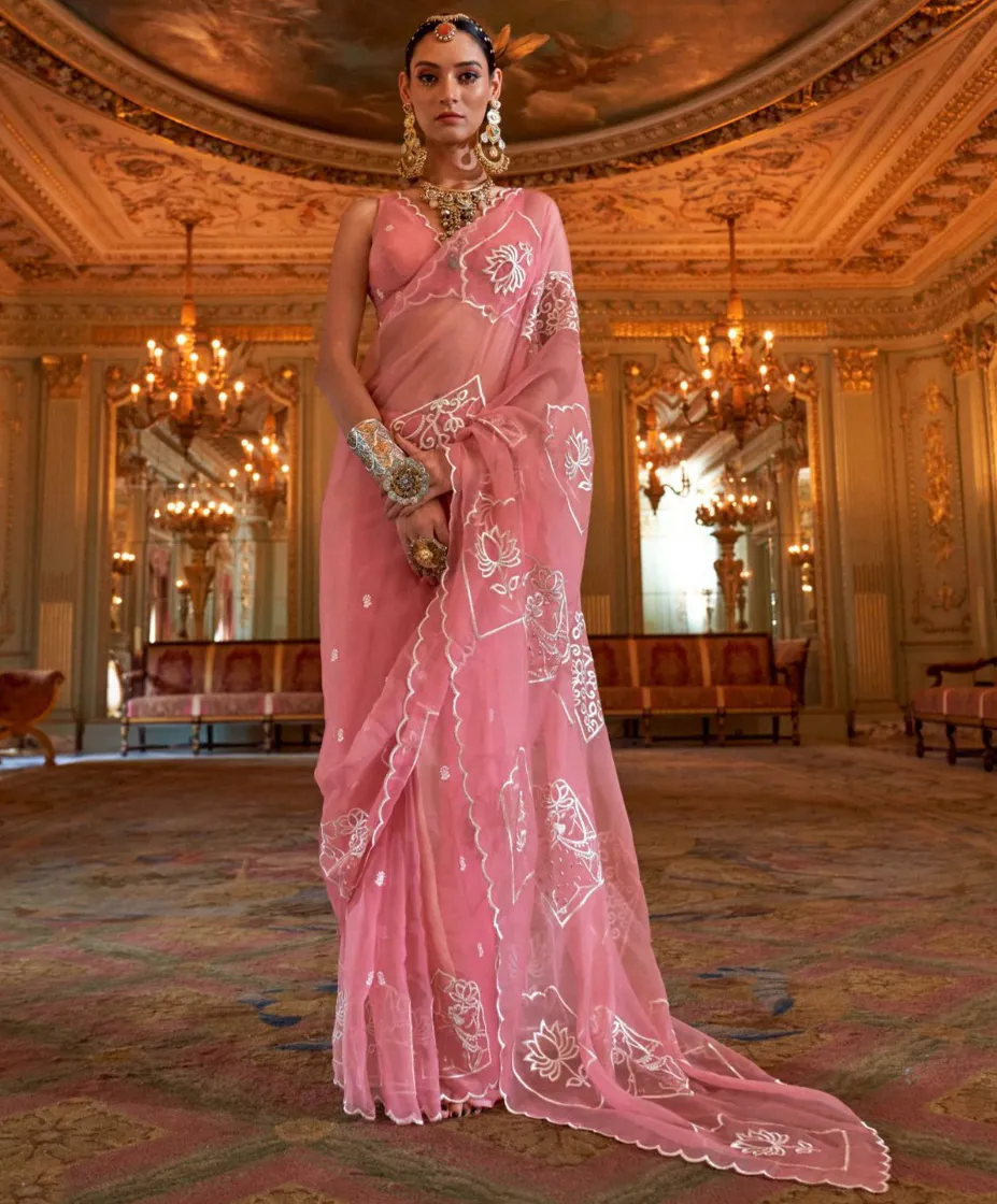Light Pink Ruby Chiffon Multi Thread Embroidered Saree