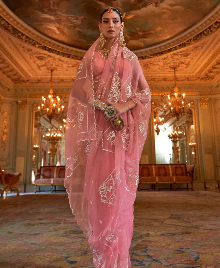 Light Pink Ruby Chiffon Multi Thread Embroidered Saree - Image 2