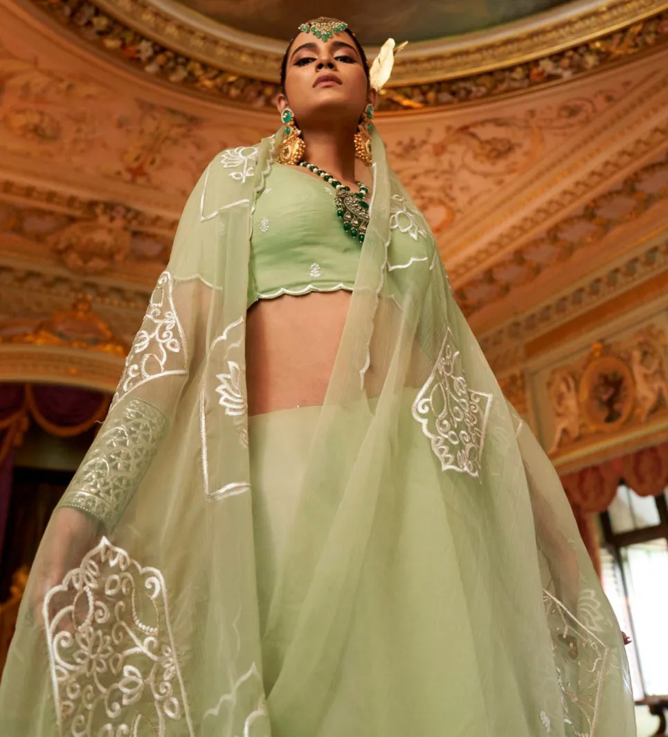 Mint Green Ruby Chiffon Multi Thread Embroidered Saree - Image 2