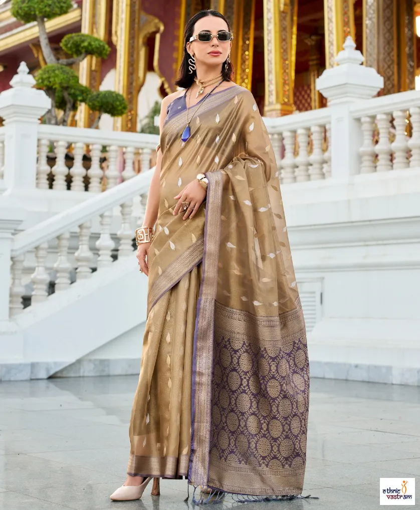 Brown Tissue Silk Rich Woven Border Traditional Saree