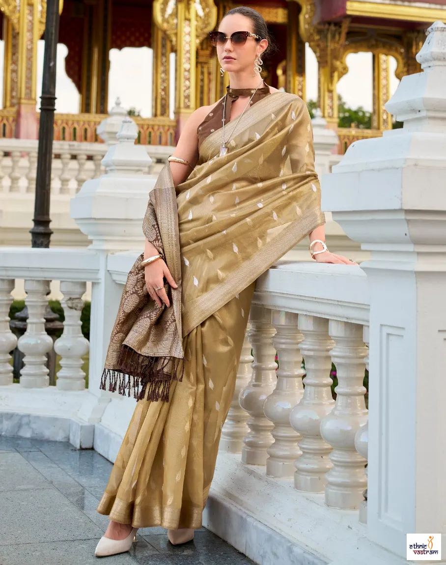 Champagne Gold Tissue Silk Rich Woven Border Traditional Saree